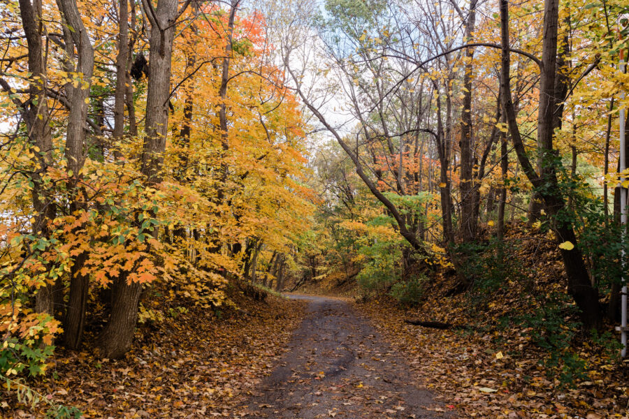 14 Best Places to Catch Fall Foliage in Greater Peoria