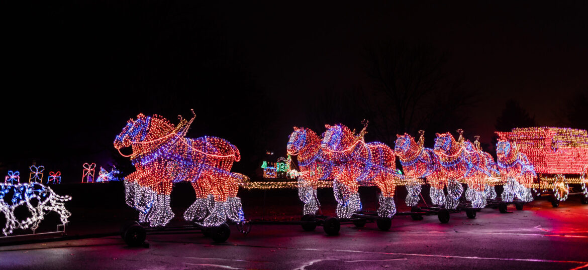 Festival of Lights:  A Time-Honored Tradition
