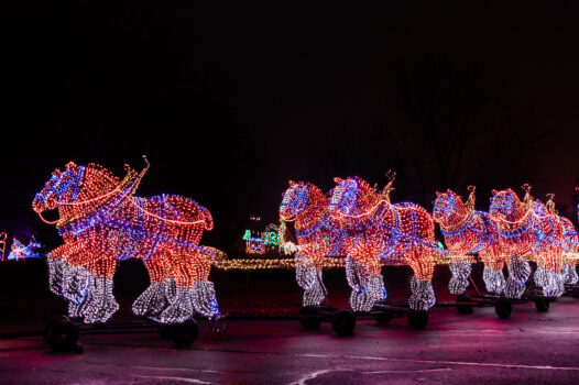 Festival of Lights History