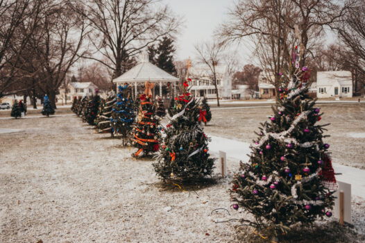 Tree Lighting & Holiday Stroll