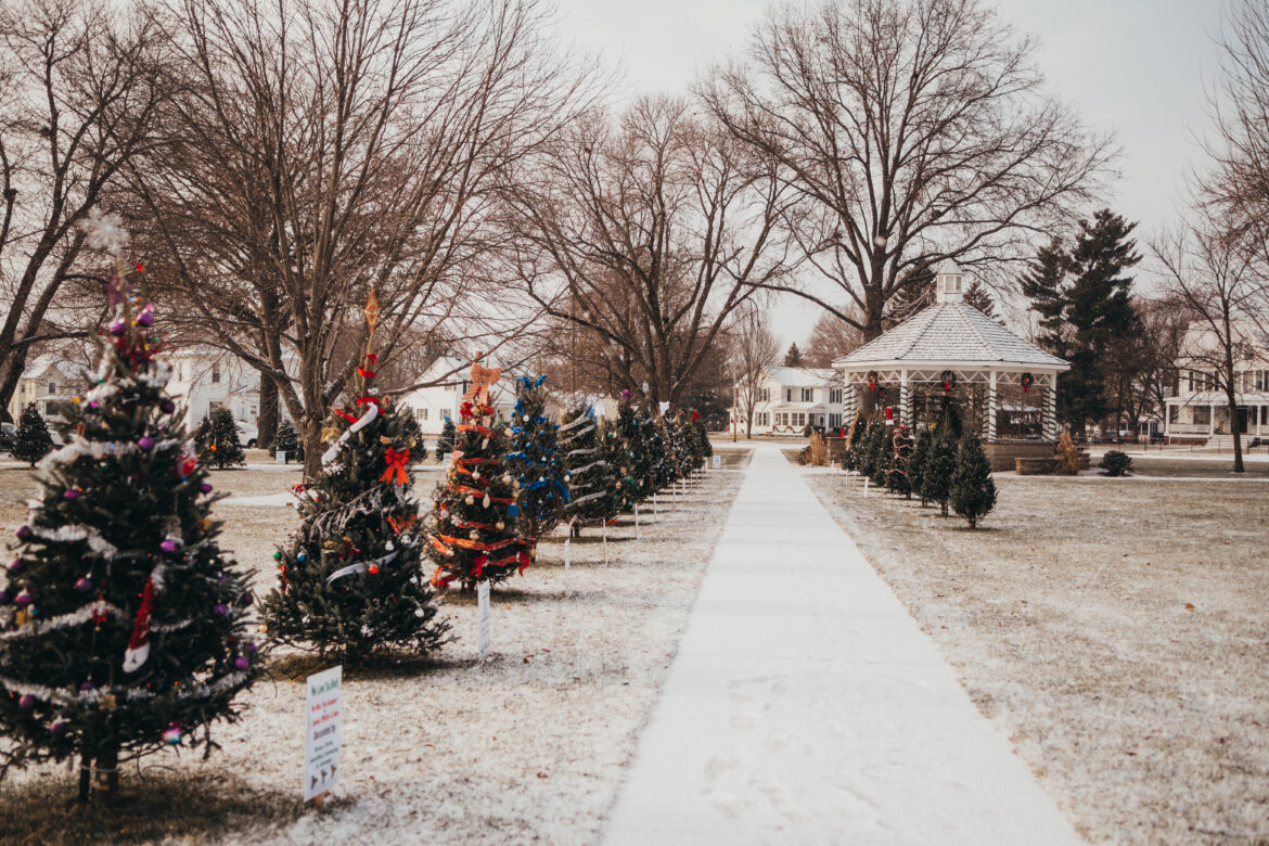 Discover Princeville, IL