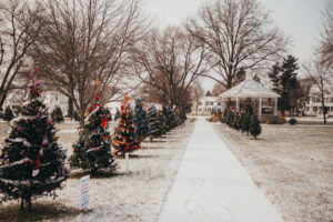 Discover Princeville, IL