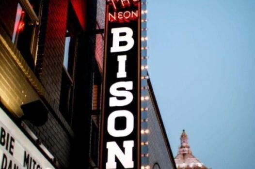 The Neon Bison