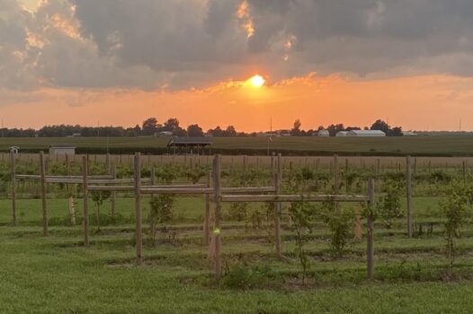 Tres Rojas Winery