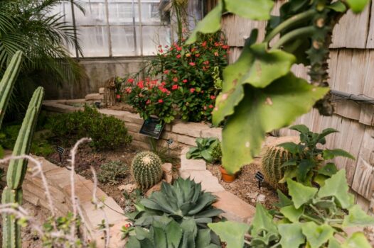 Luthy Botanical Garden