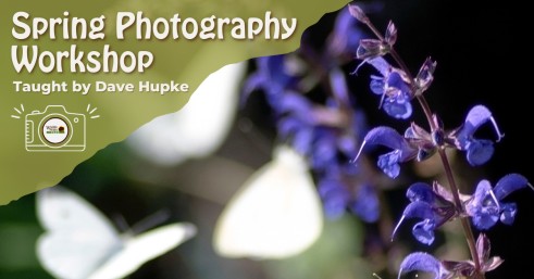 Spring Photography Workshop