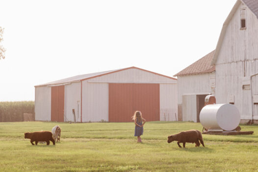 A Cozy Small-Town Day Trip in Eureka, Illinois
