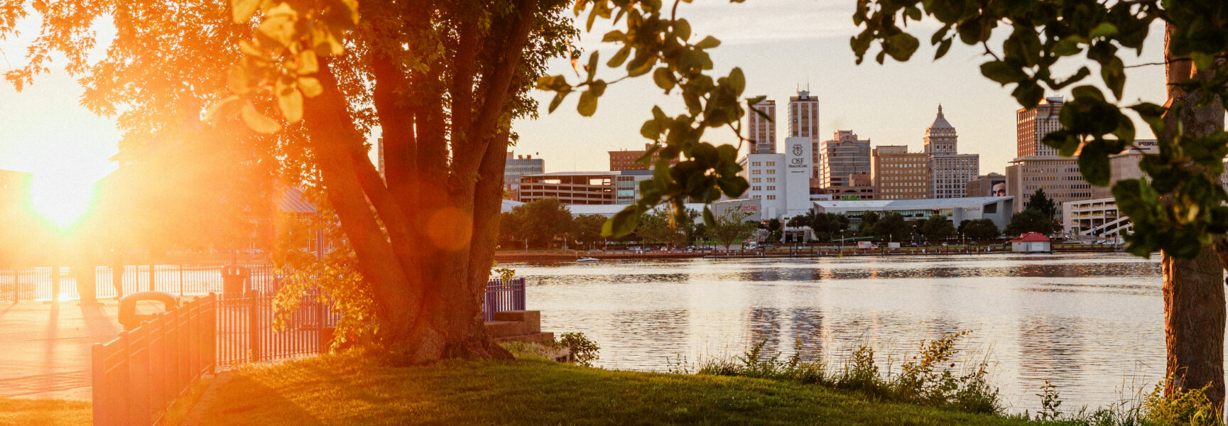 Fall tree in front of Illinois River and city skyline